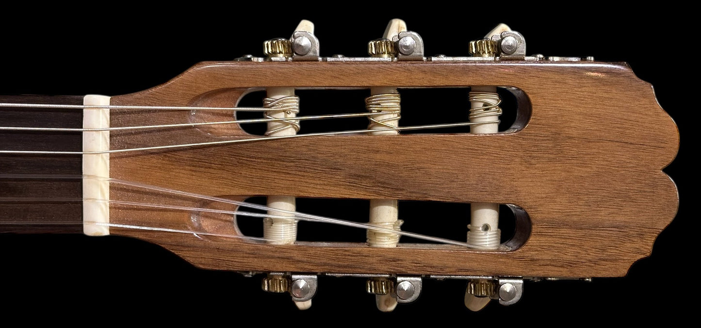 Rodriguez Caballero 10 Cutaway Nylon Acoustic Electric