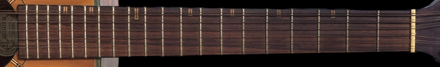 Washburn D46S12 Dreadnought Acoustic 12 String Guitar