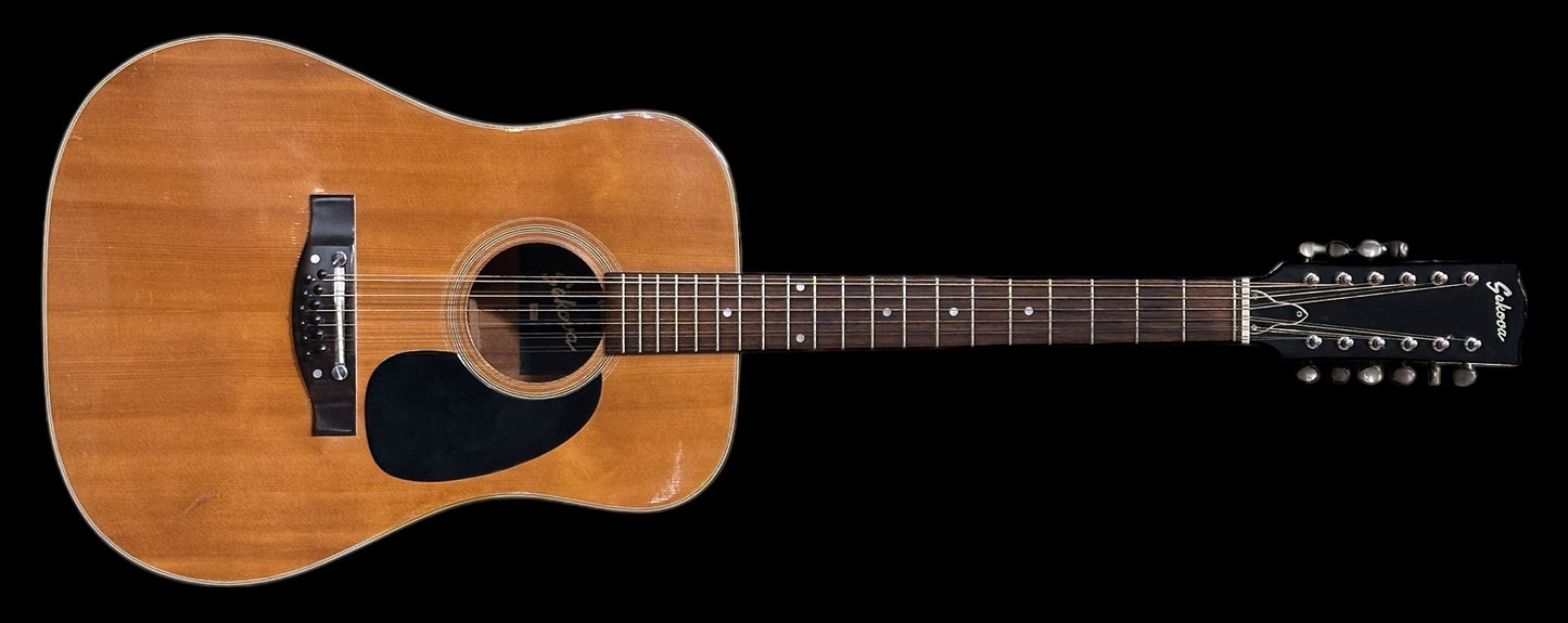 Sekova F1020 12-String Acoustic Guitar