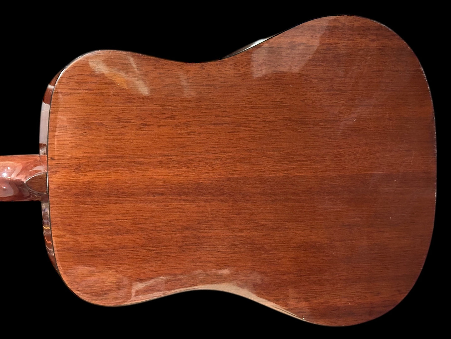 Sekova F1020 12-String Acoustic Guitar